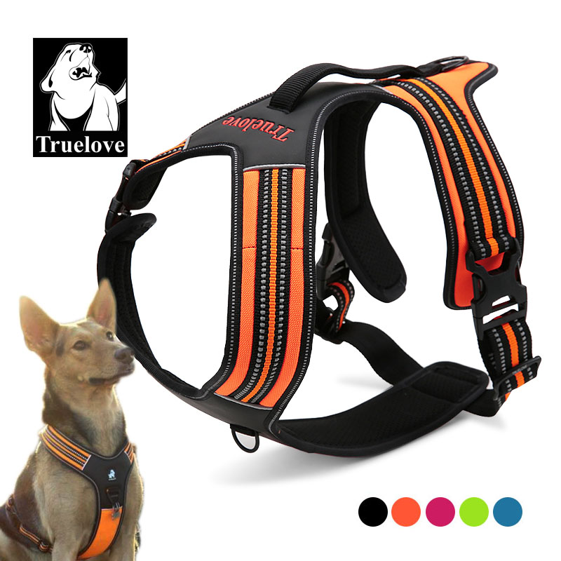 Outdoor Adventure Vehicles - Truelove Sport Nylon Reflective No Pull