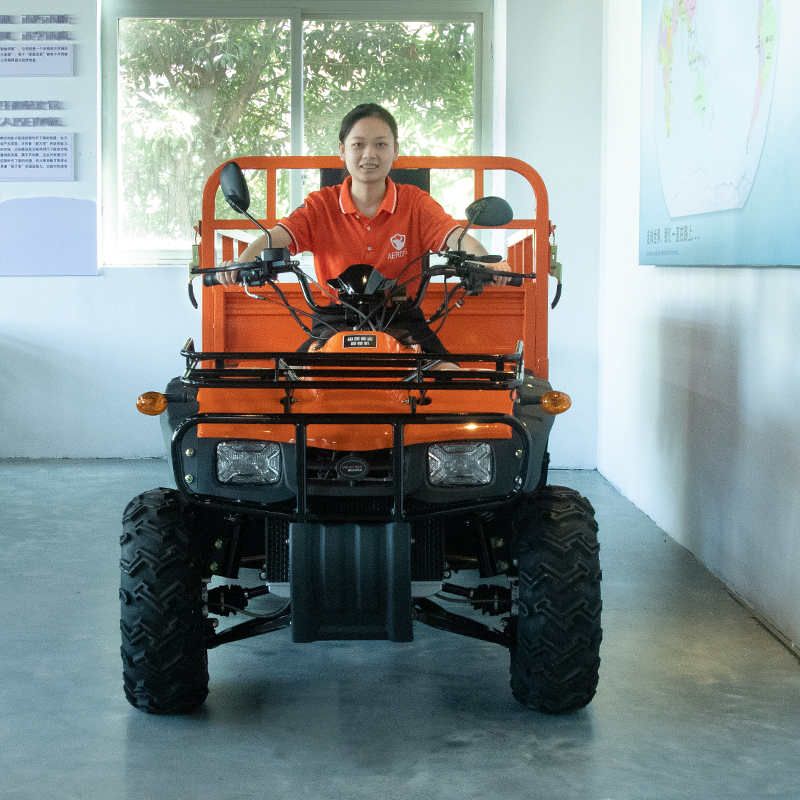 Electric 4x4 Farm Big Quad Bik – обзор и цена Outdoor Adventure Farm