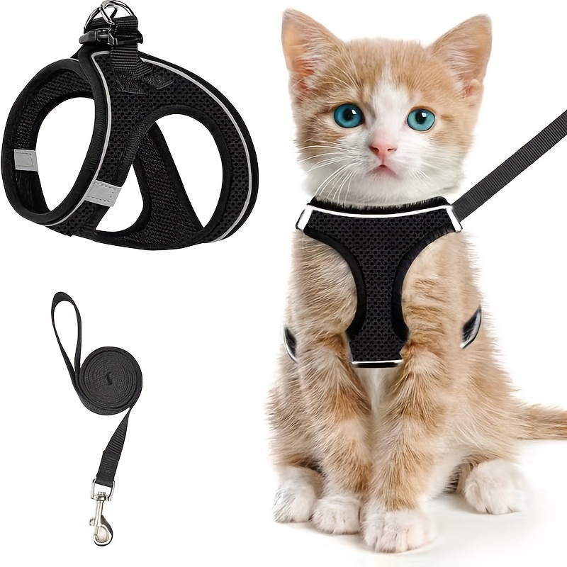 Escape-Proof Cat Harness & Lea – обзор и цена Outdoor Adventure Kit